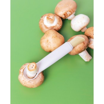 Brosse évideur à champignon Achat/Vente au meilleur prix