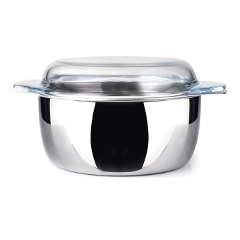 Mini friteuse inox verre 2 litres Achat/Vente au meilleur prix