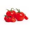 Couteau denté 13 cm pain tomate Achat/Vente au meilleur prix